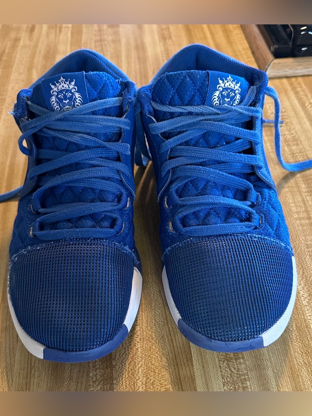 Nike BasketballSneakers
